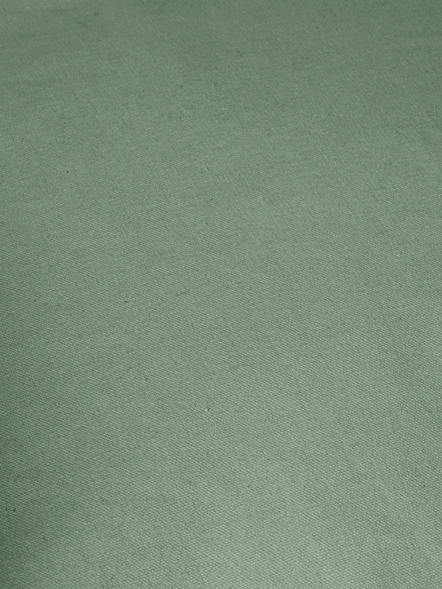 Billow Bean Bag - Tea Green