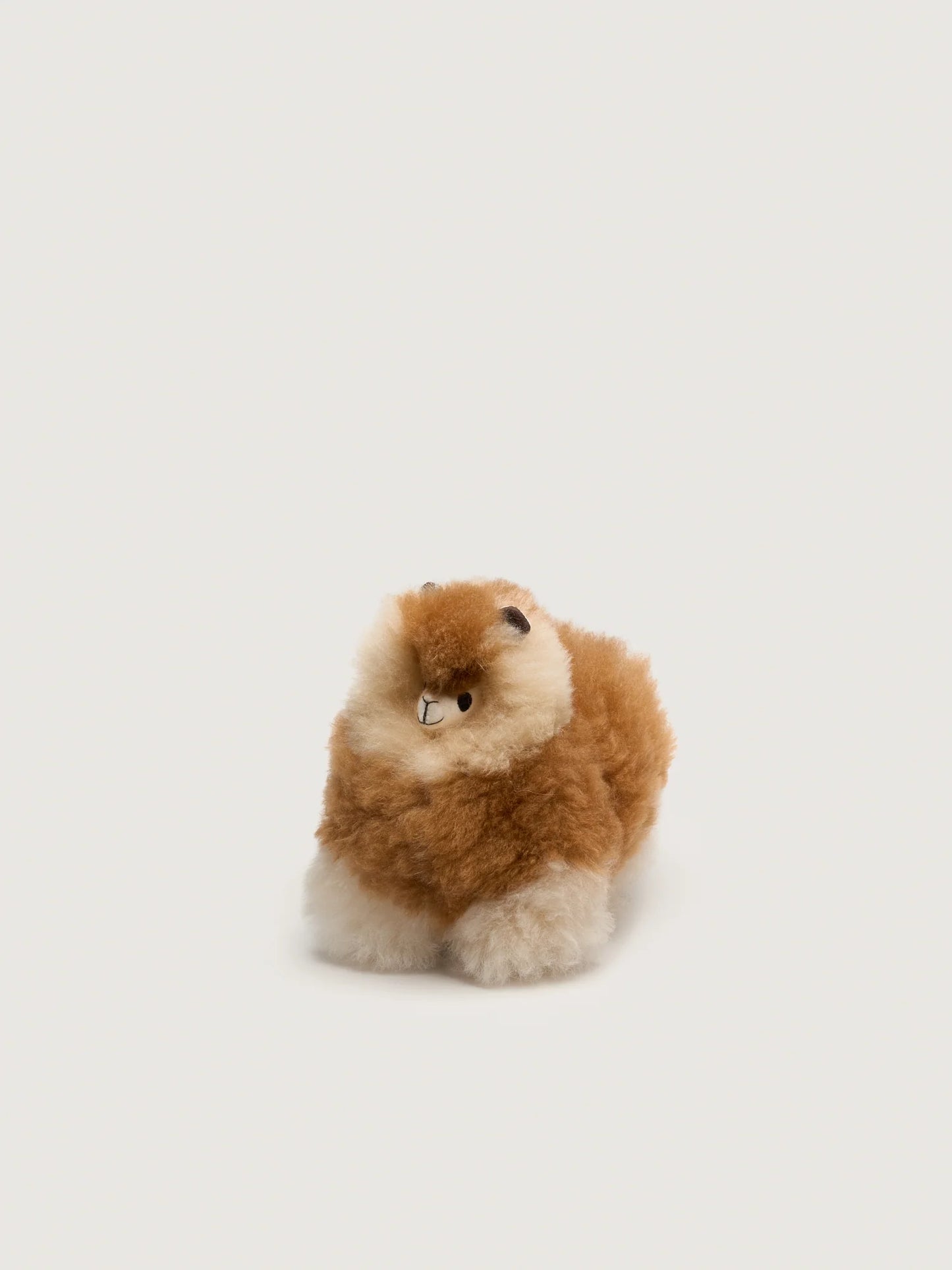 Huacaya – Blonde Mix