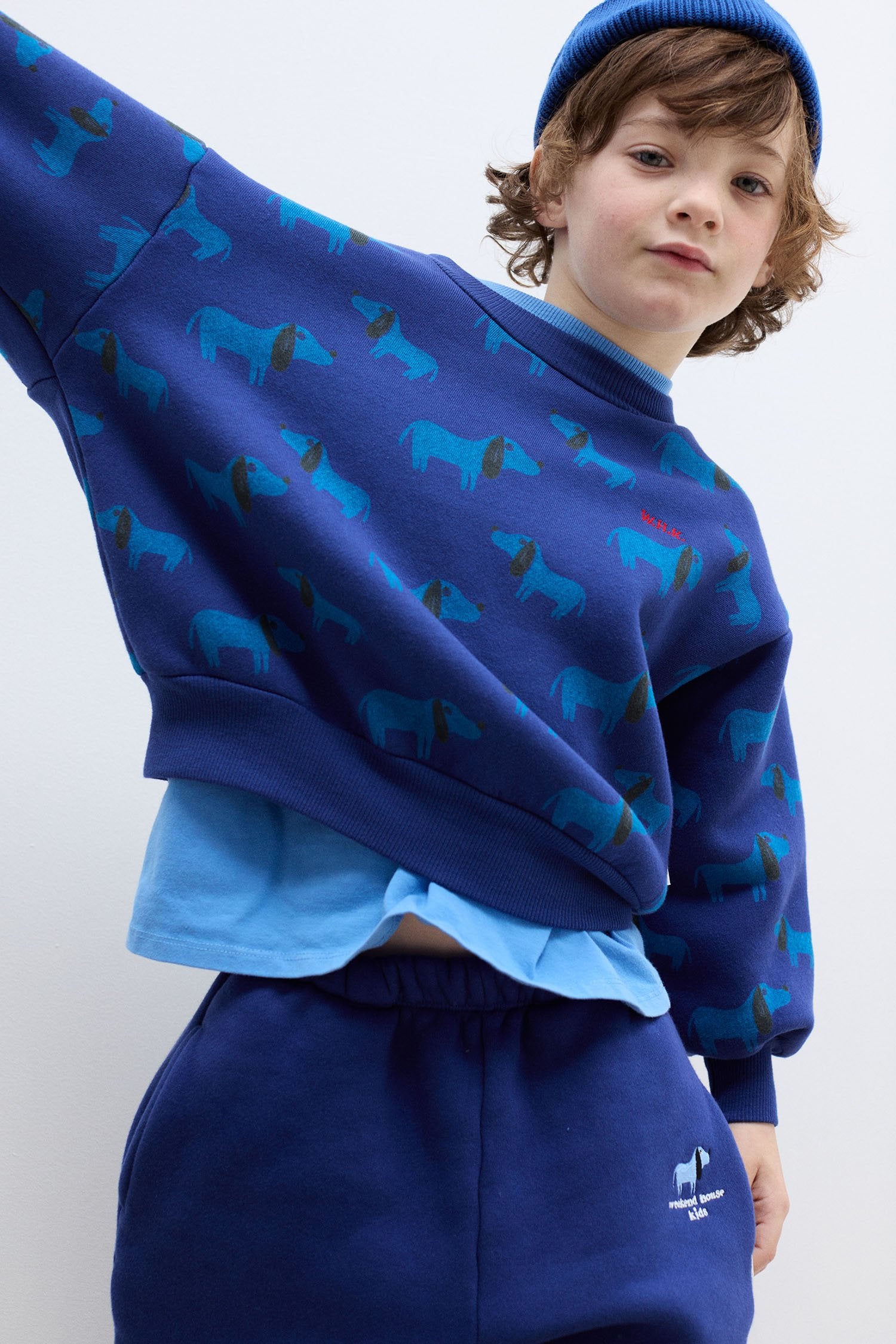 Blue Dog all over sweatshirt