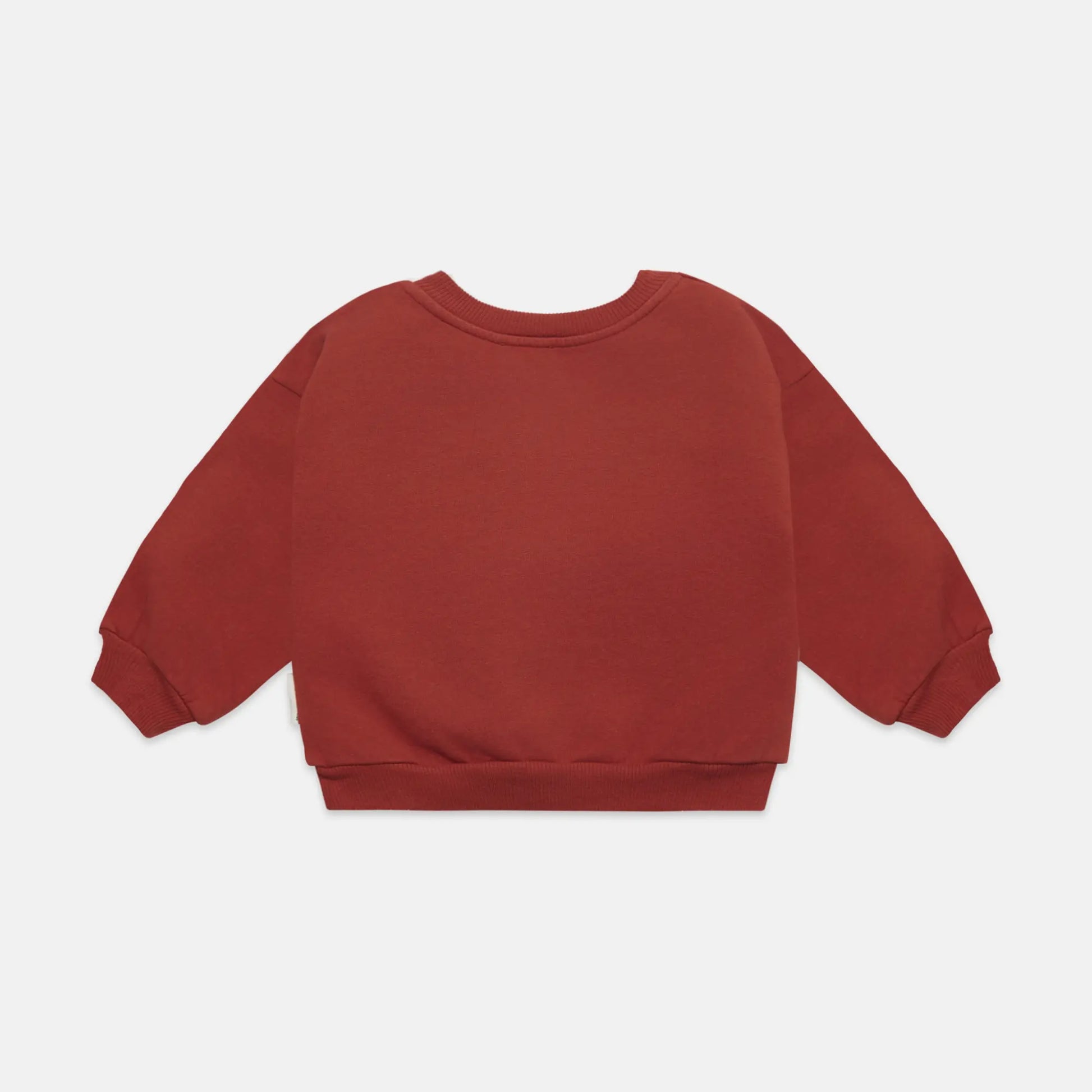 Fruity baby sweatshirt