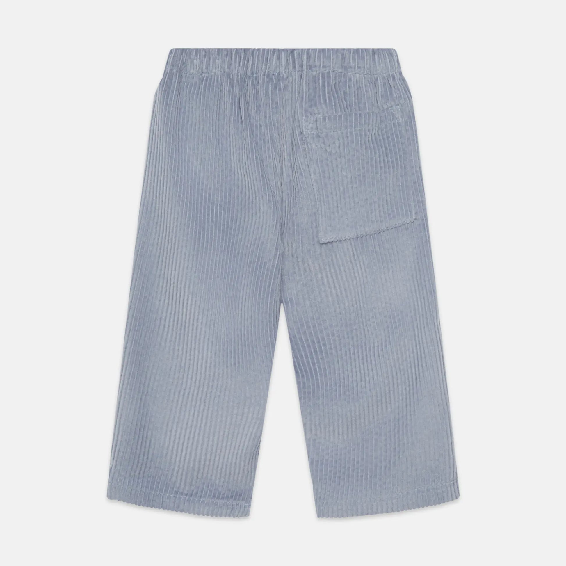 Blue Dog corduroy baby pants