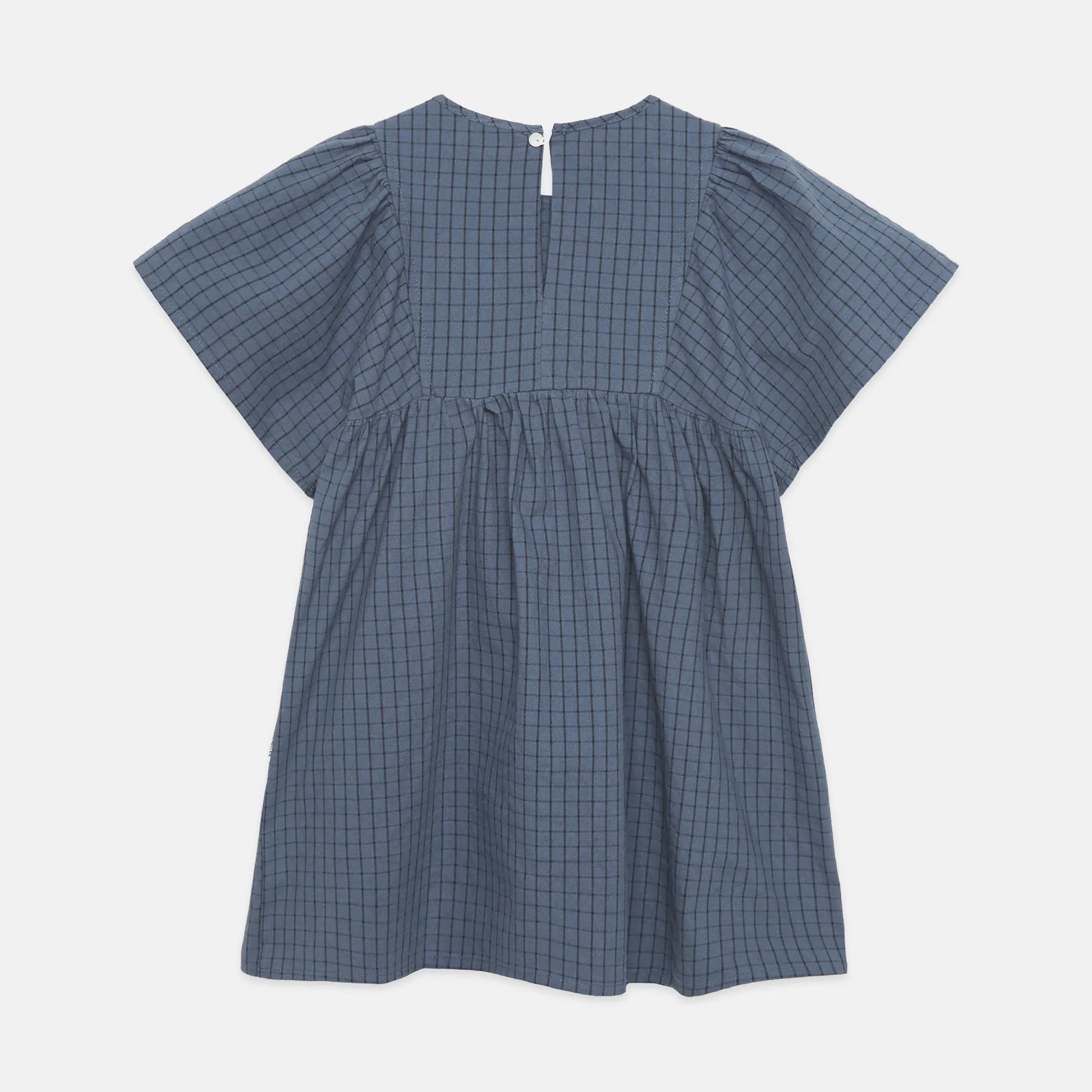 Blue Dog butterfly dress