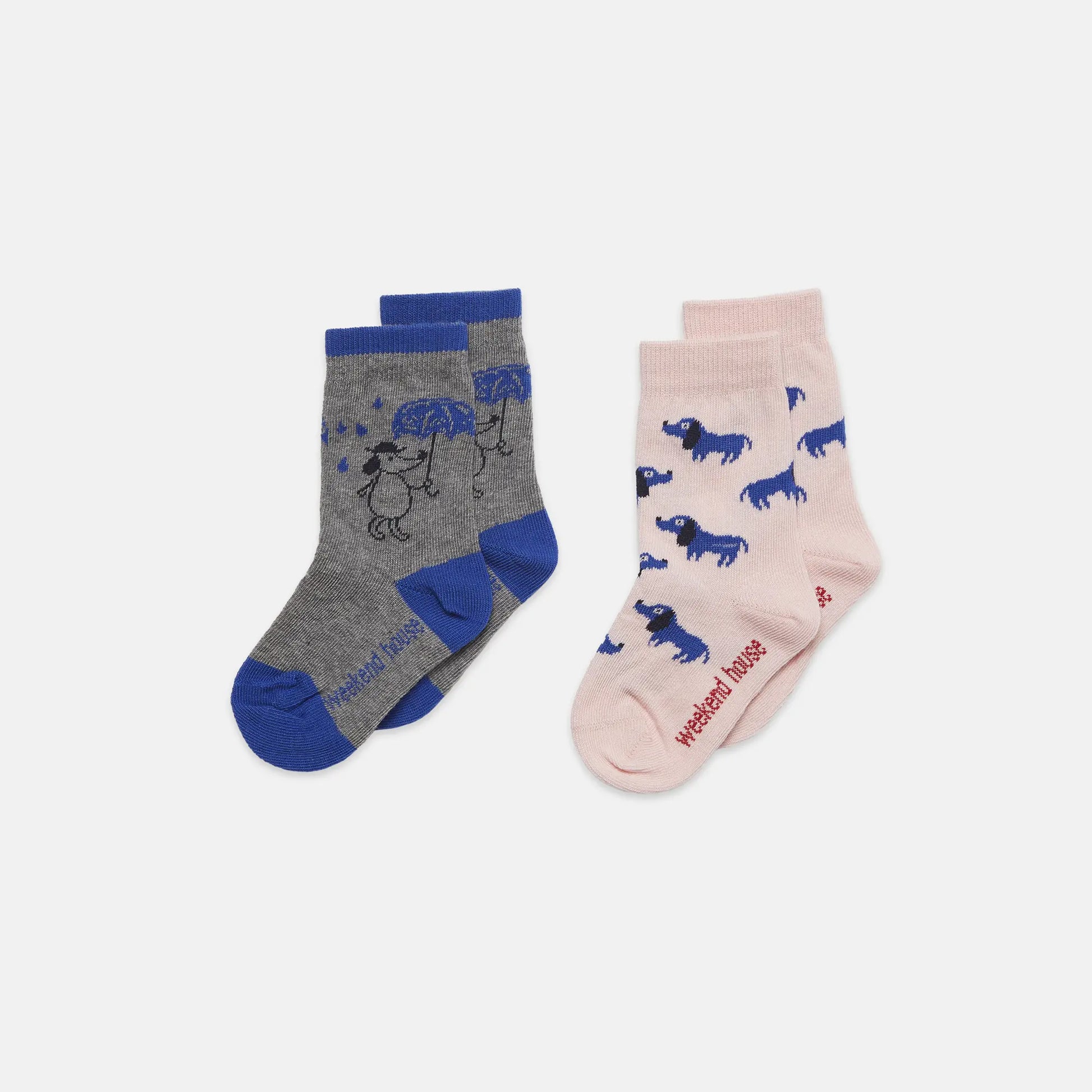 Dogs socks pack