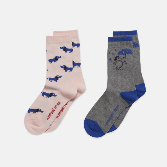 Dogs socks pack