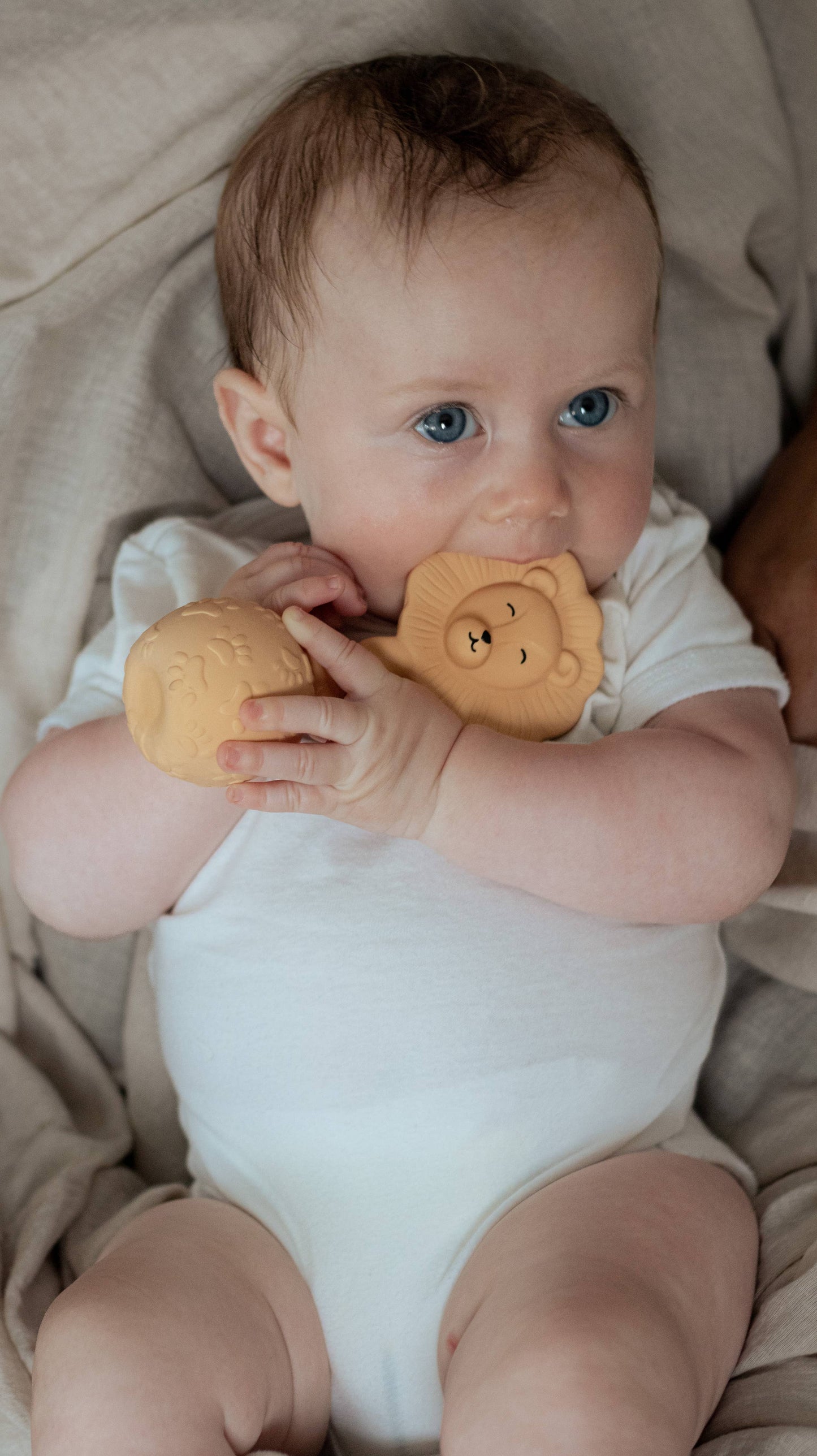 Rattle Lion - Yellow