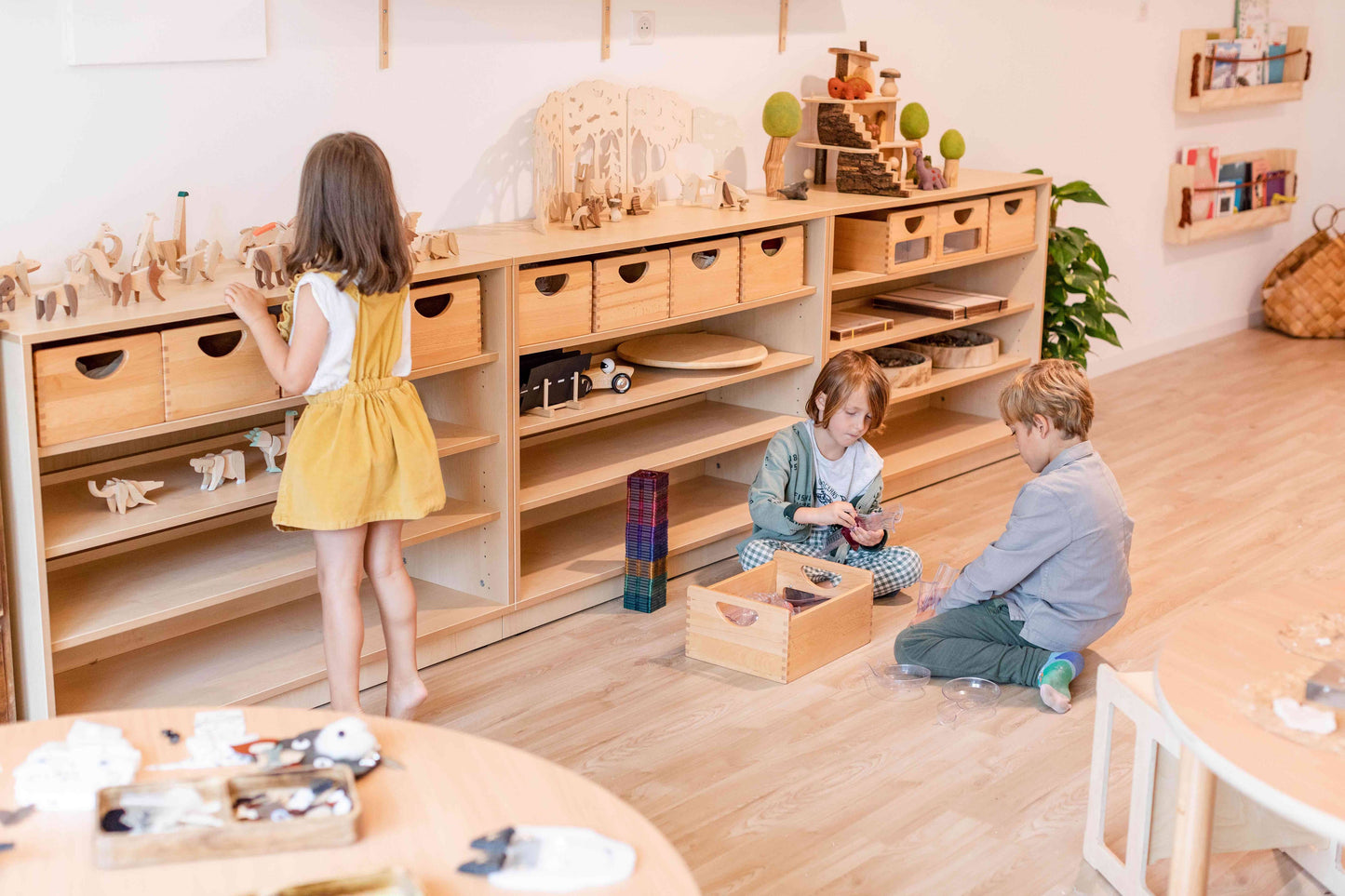 Wooden Magnetic T.Rex Dinosaur