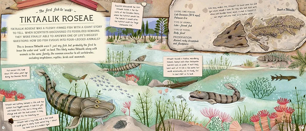 The Fossil Keeper's Treasure: With Amazing Fossils to Touch