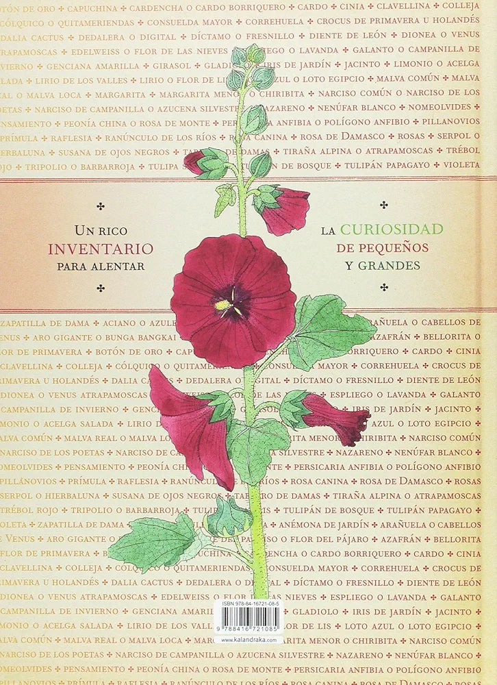 Inventario ilustrado de flores