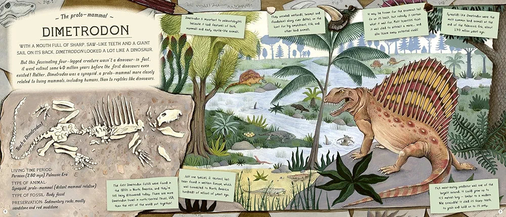 The Fossil Keeper's Treasure: With Amazing Fossils to Touch