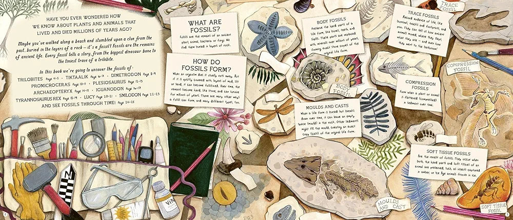 The Fossil Keeper's Treasure: With Amazing Fossils to Touch