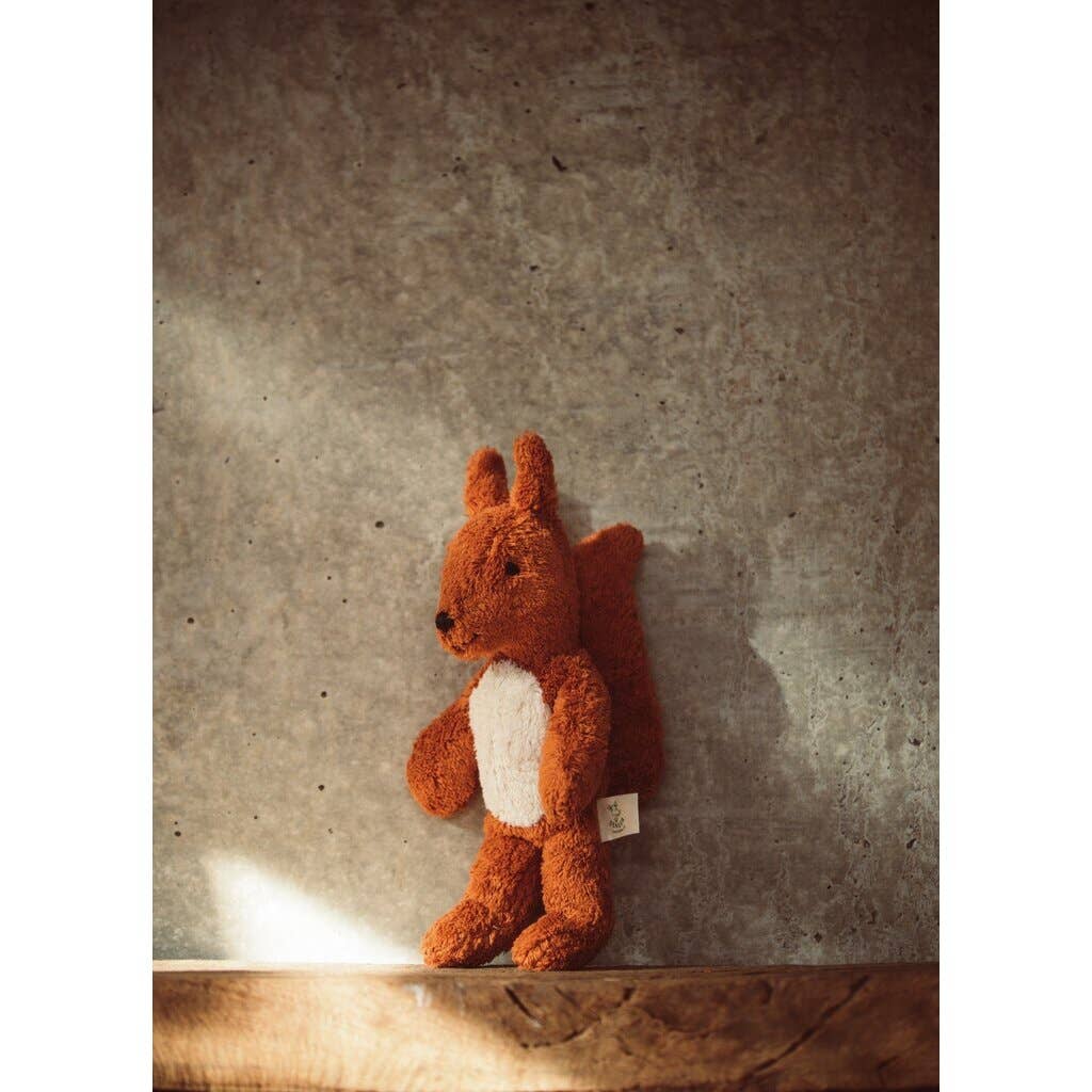 Animal Baby Squirrel