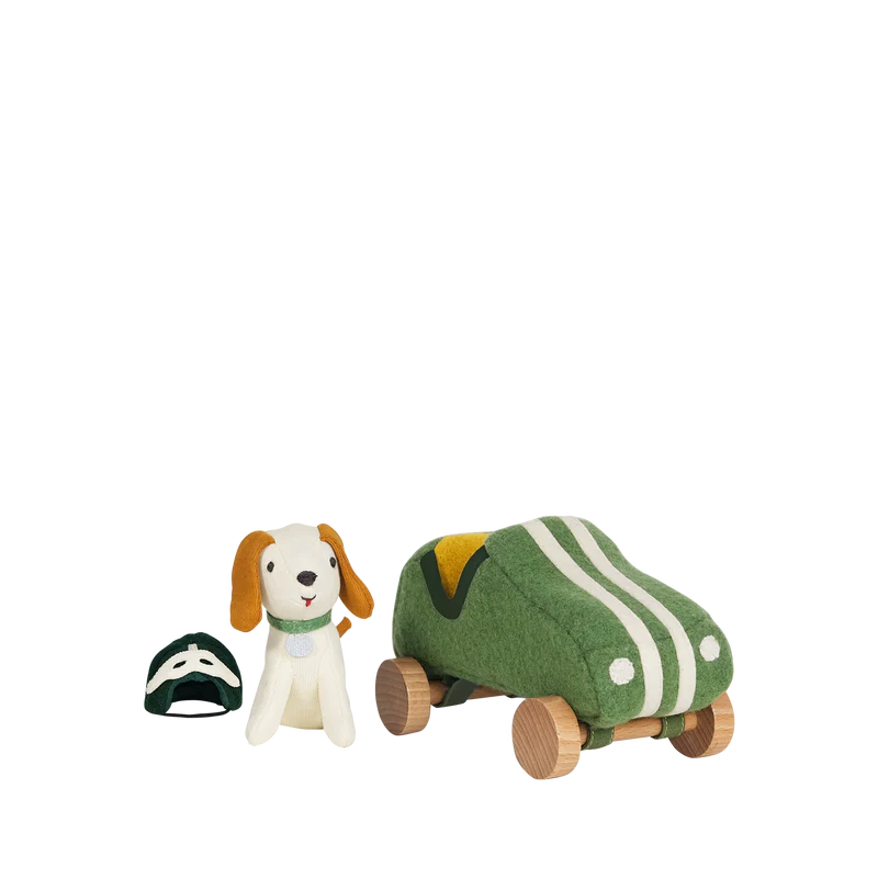 Holdie Dog-Go - Racer Boy - Green