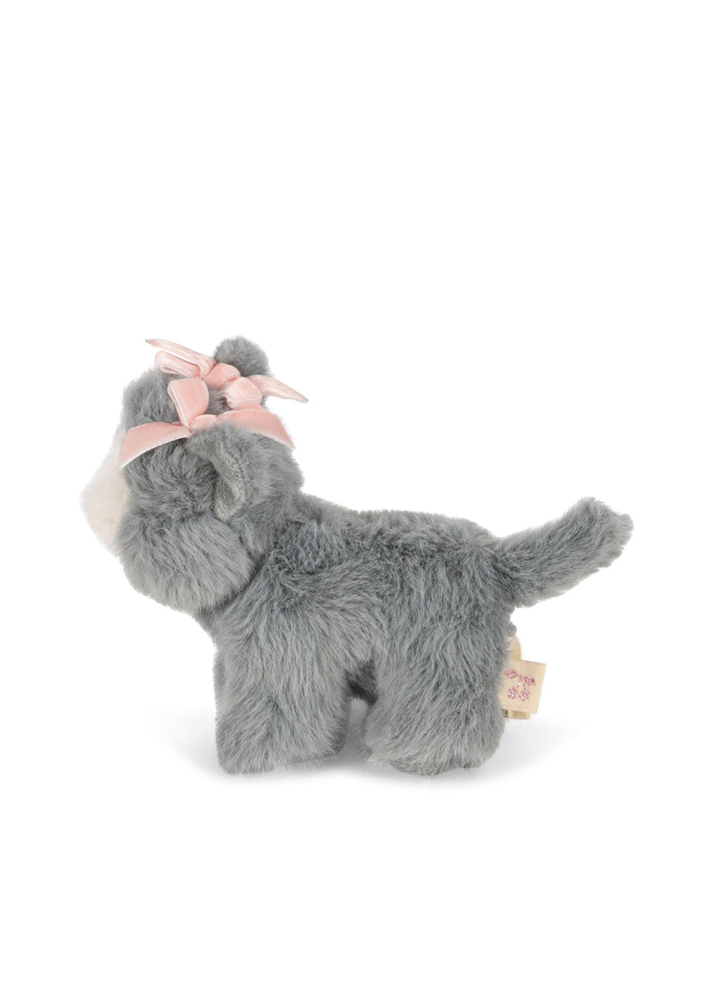 BABY ANIMALS - grey cat