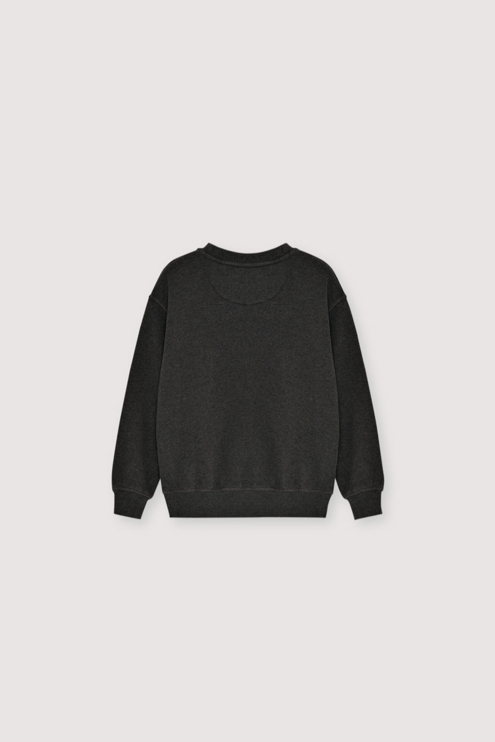 TNS Logo Sweatshirt Galactic Grey Melange