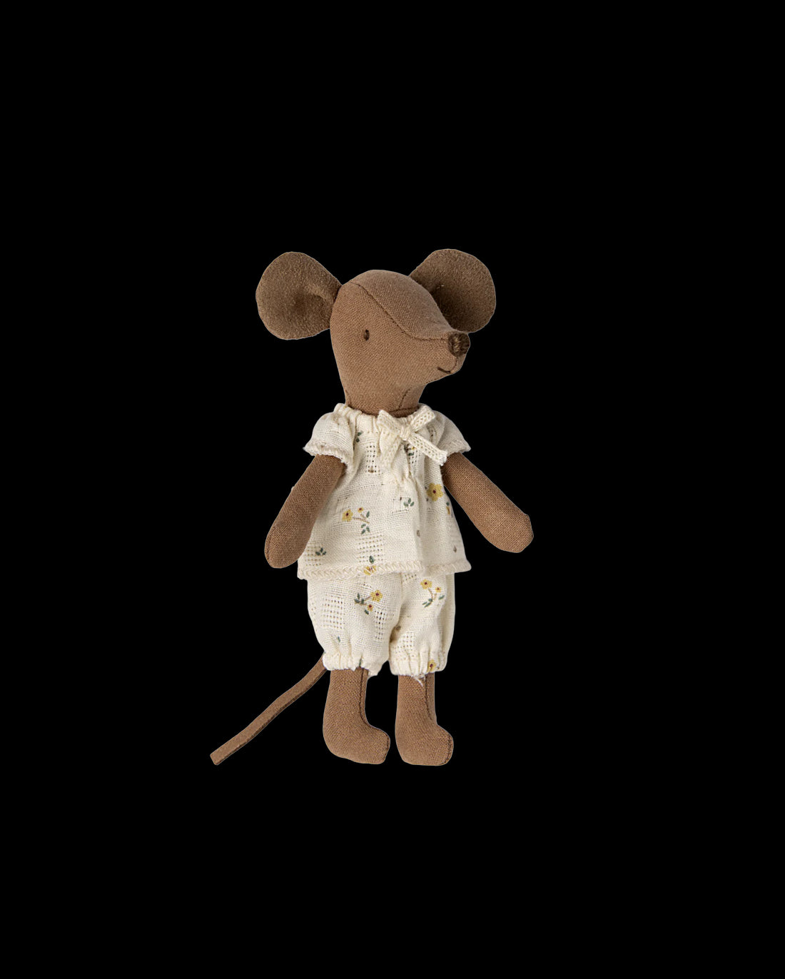 Big sister mouse in matchbox