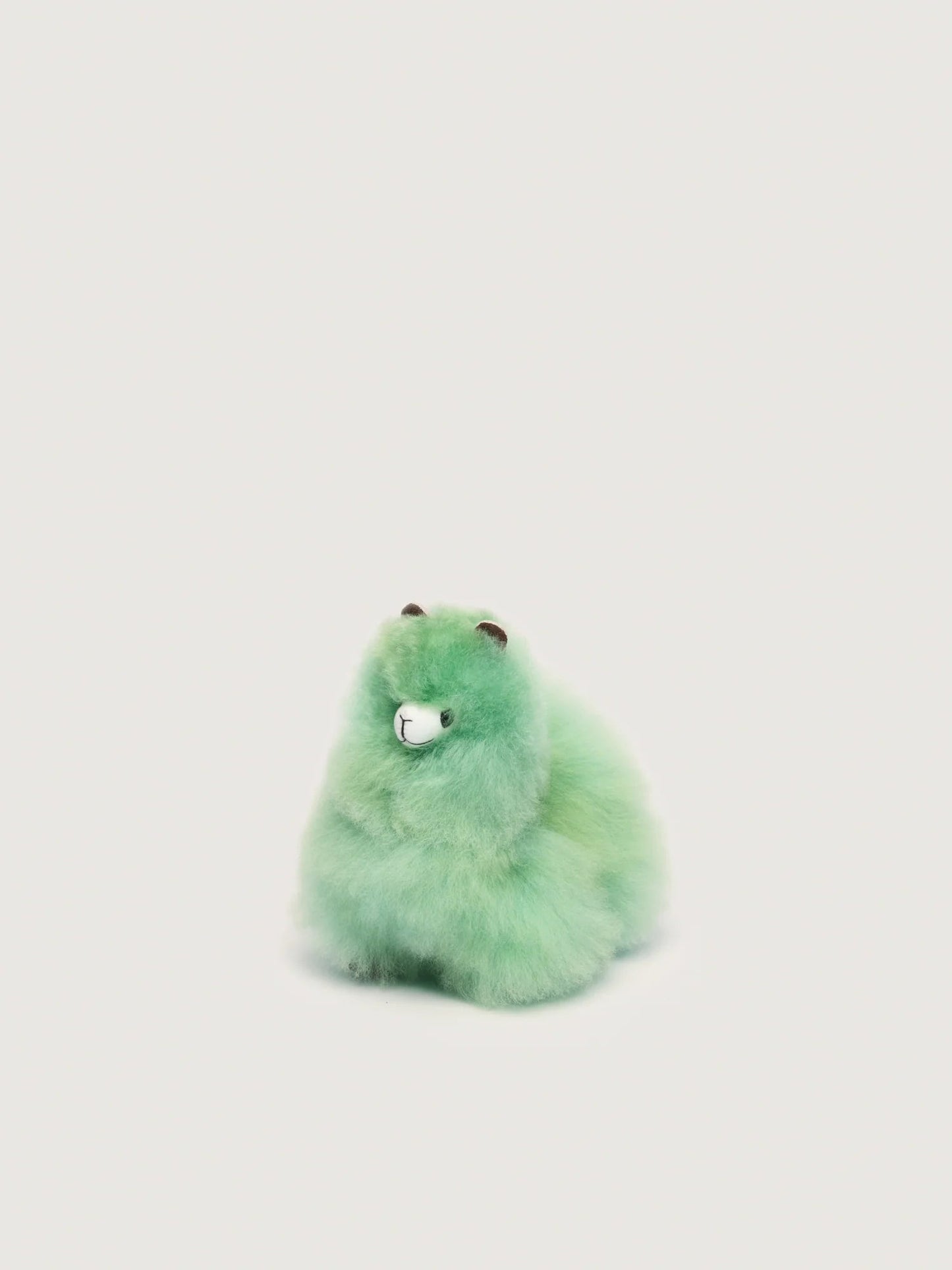 Huacaya - Pastel Colors