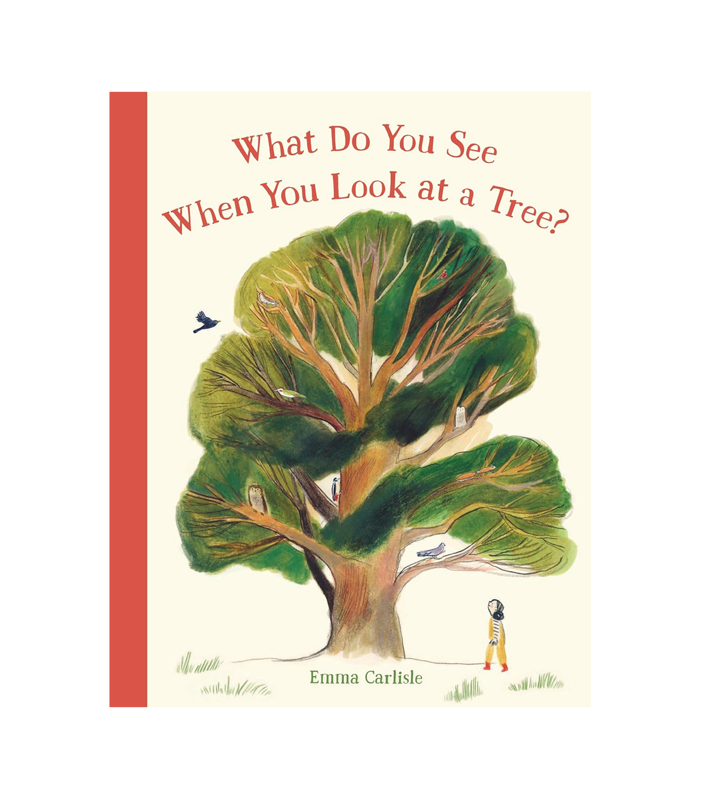 What Do You See When You Look at a Tree?