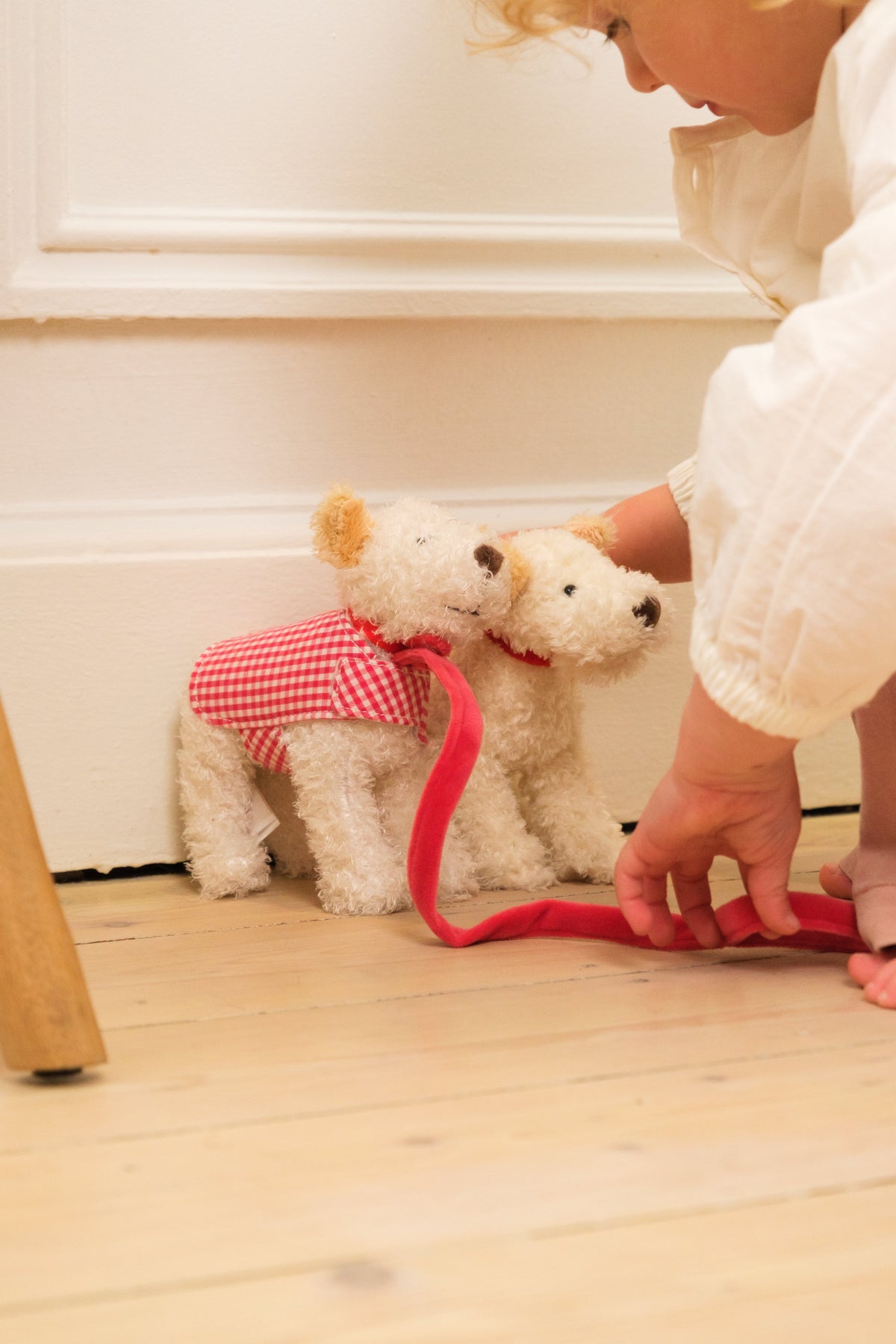 Mini Eliot with leash and coat