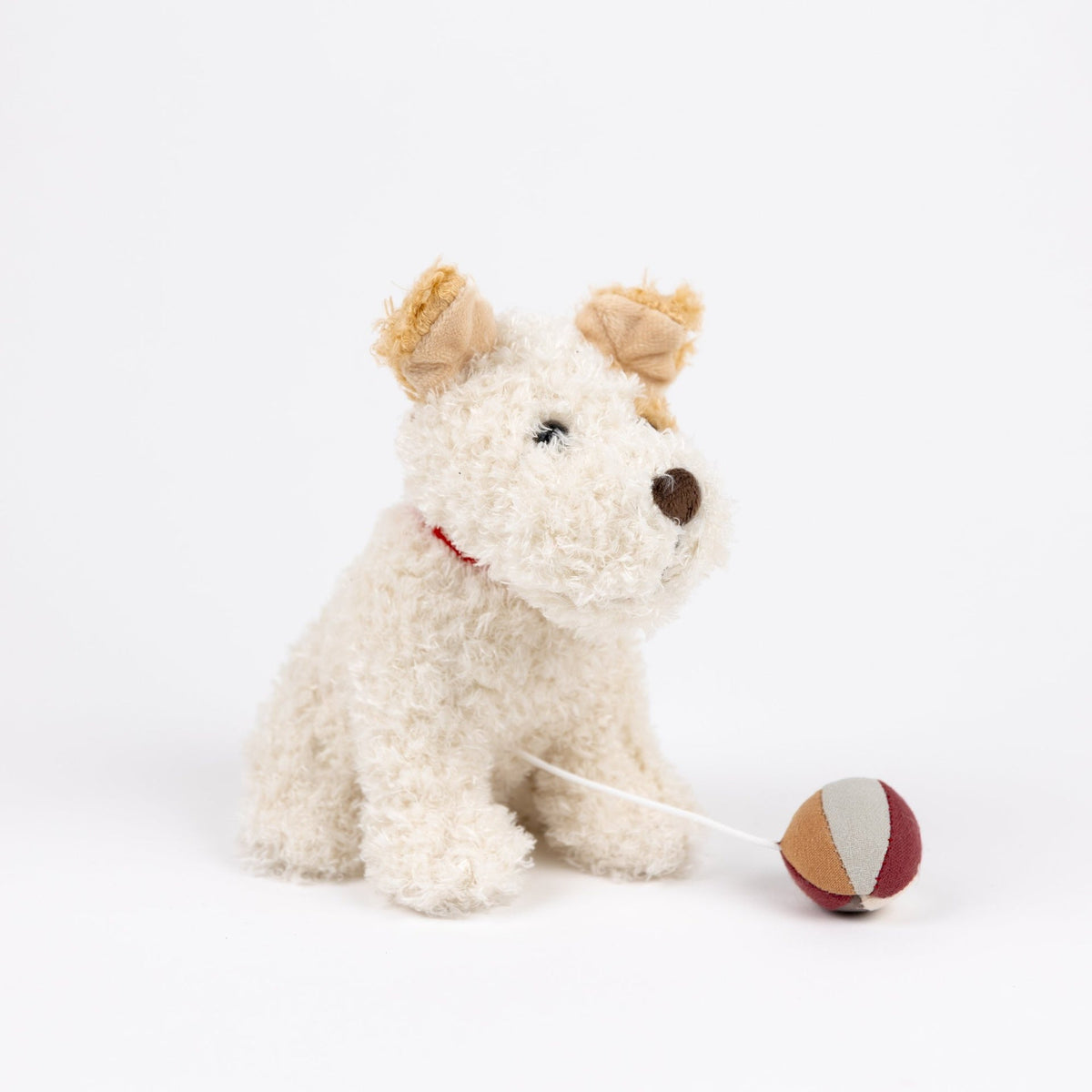 Eliot the musical dog