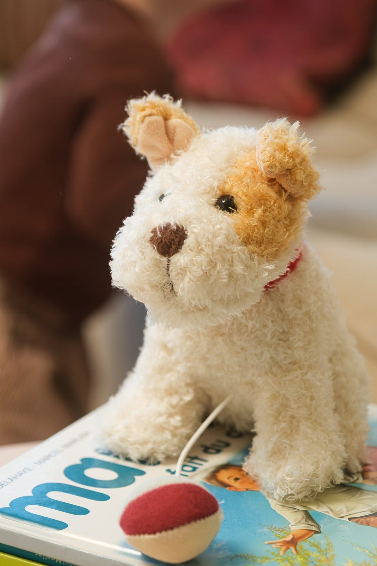 Eliot the musical dog