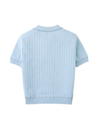 Reiner Polo Shirt with Striped Tipping Accents