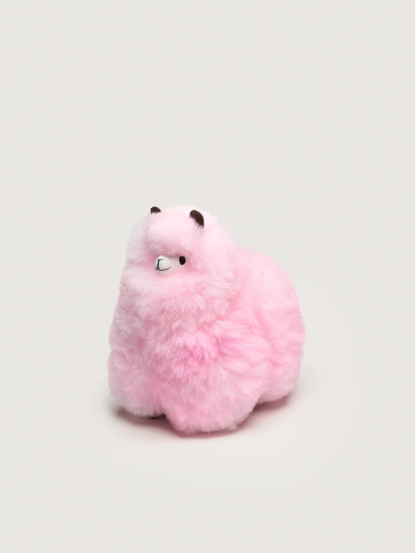 Huacaya - Pastel Colors