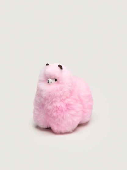 Huacaya - Pastel Colors