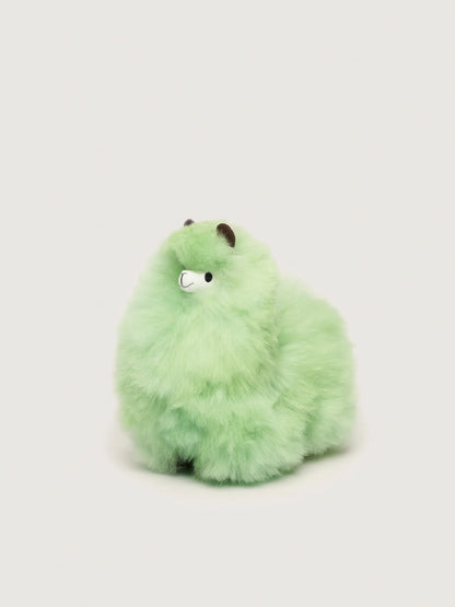 Huacaya - Pastel Colors