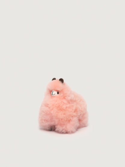 Huacaya - Pastel Colors