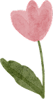 Alt Image
