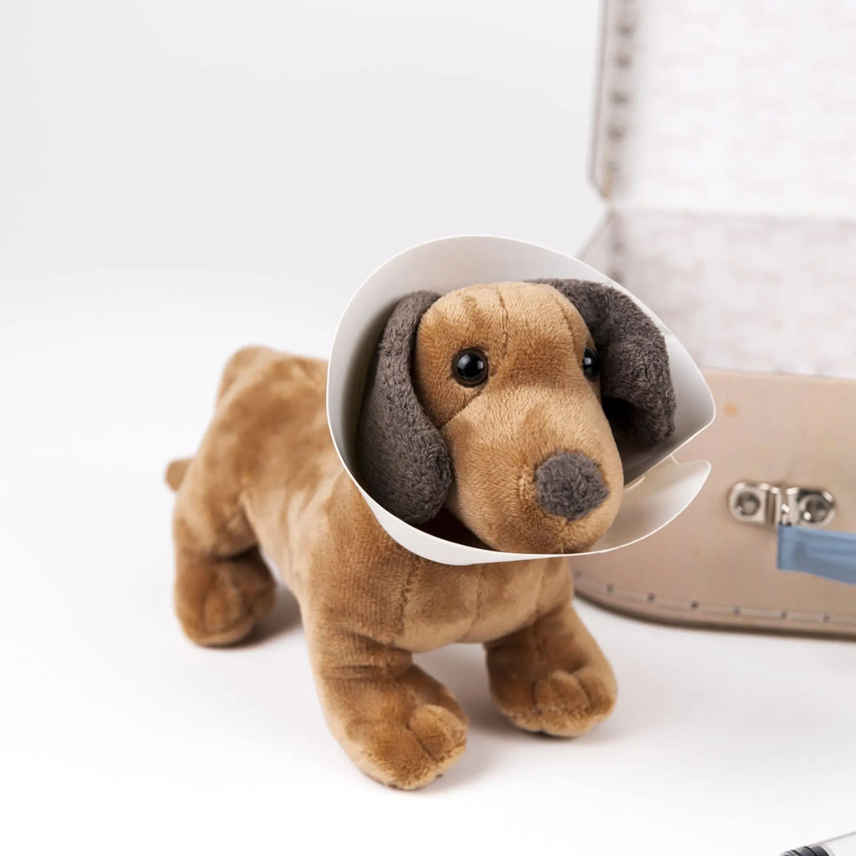 Edward the dog veterinary case