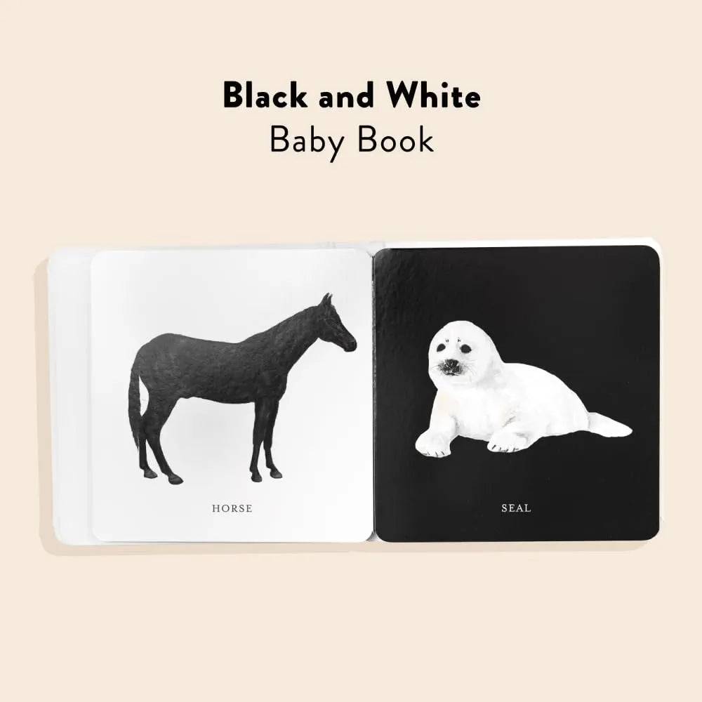 Baby's Black and White Contrast Book: High-Contrast Art for Visual Stimulation at Tummy Time 