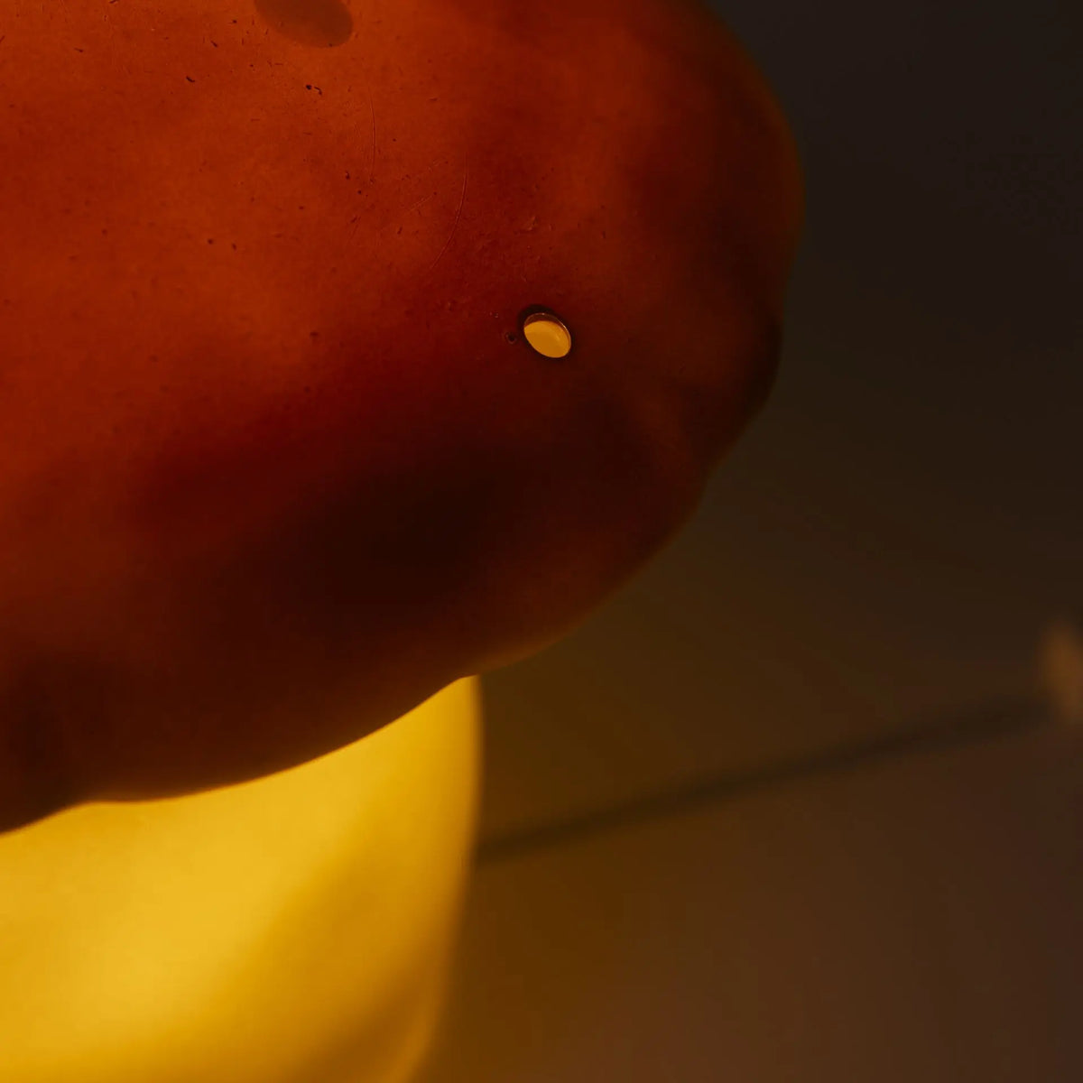 Medium Mushroom Night Lamp, Terra