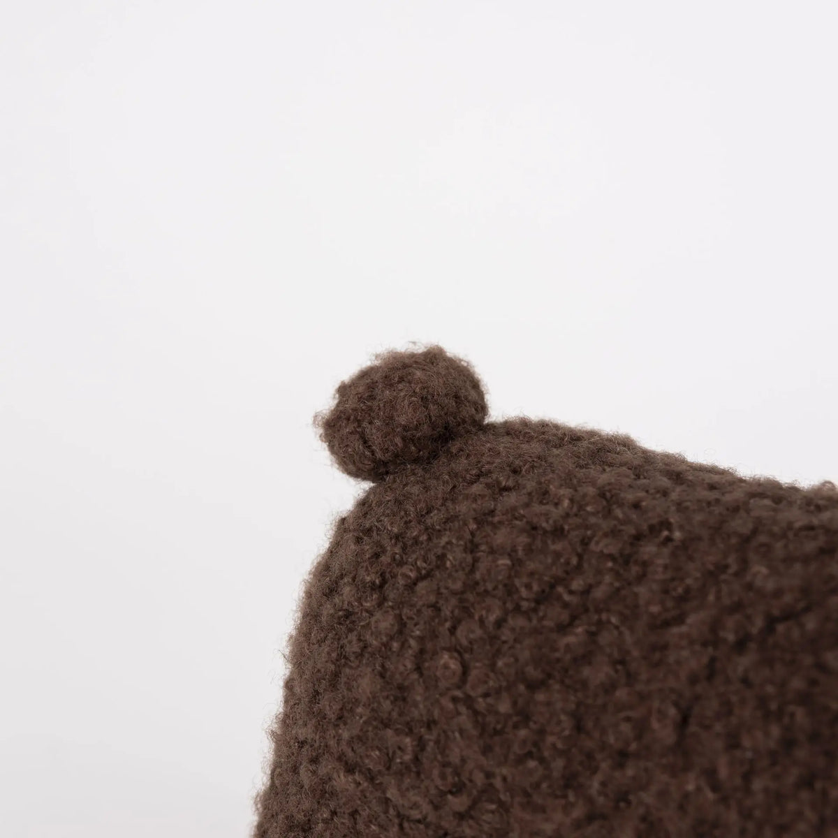 Raoul the Pull-Along Bear