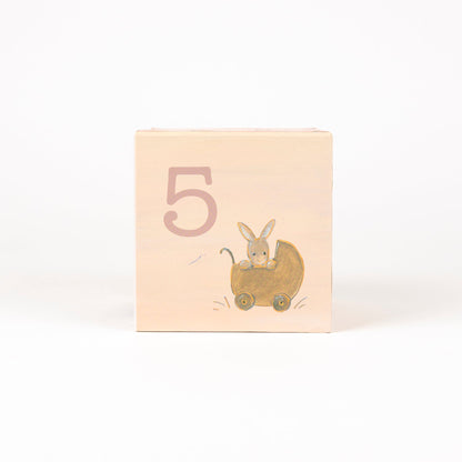 Lenny the rabbit cube house