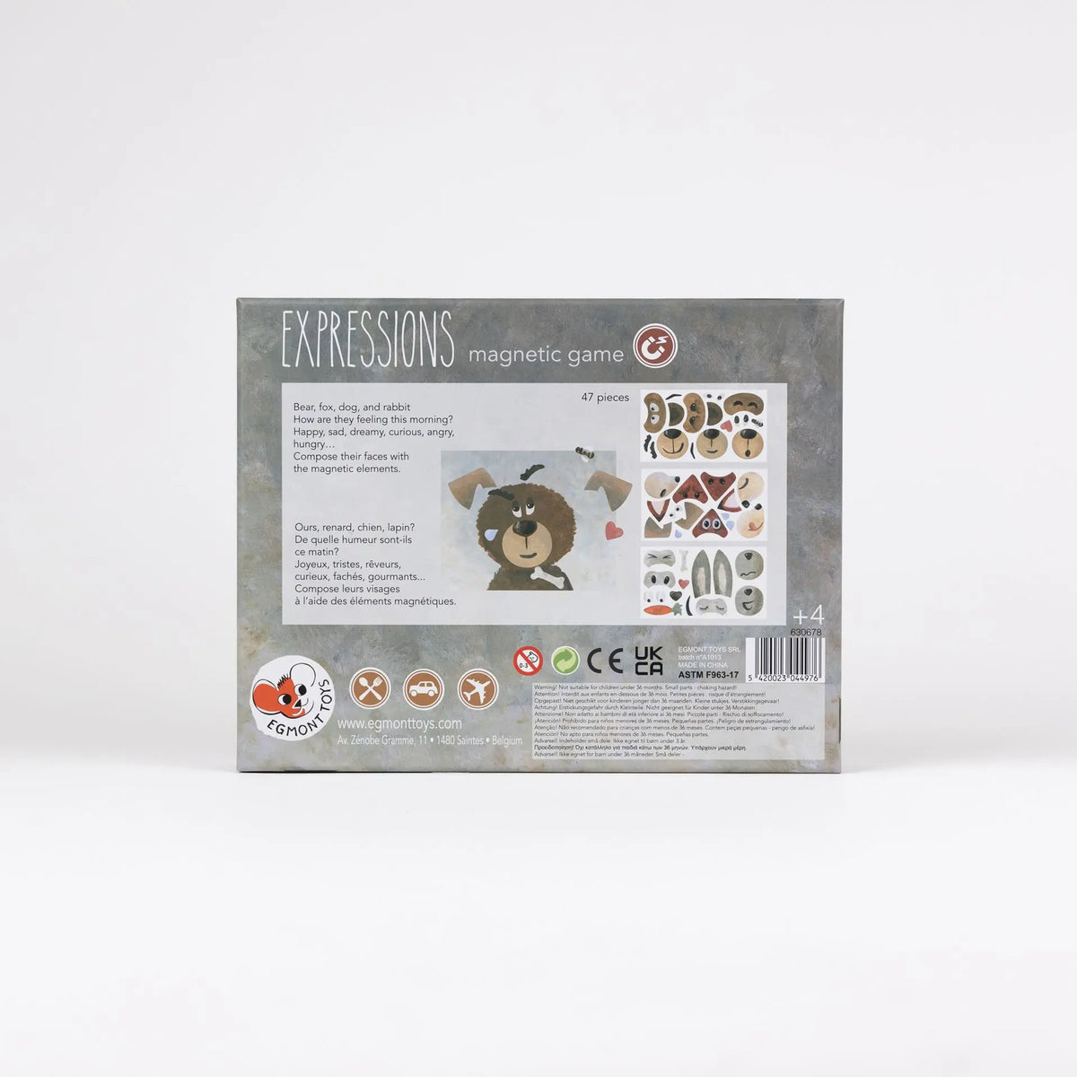 Expressions Magnetic Game