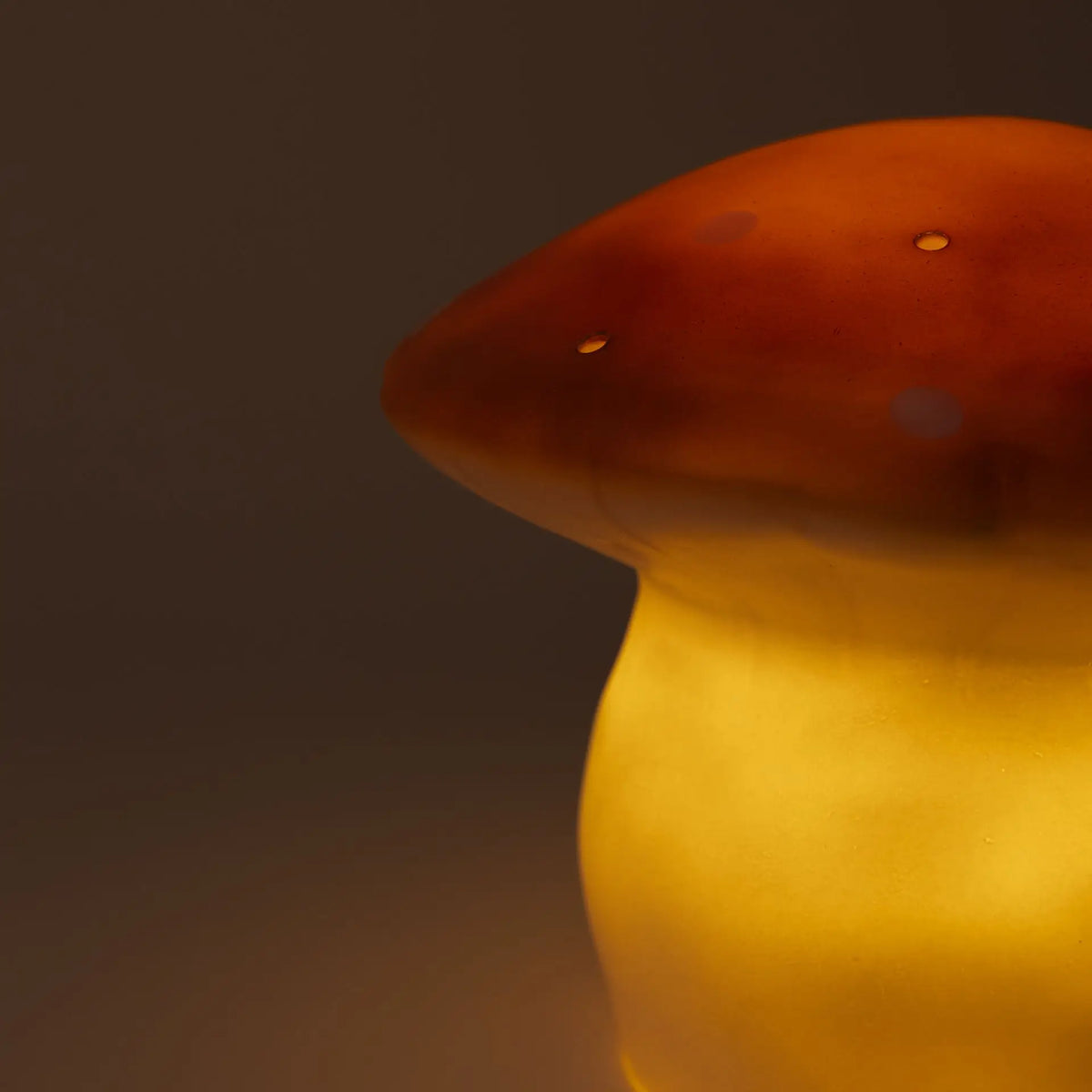 Medium Mushroom Night Lamp, Terra