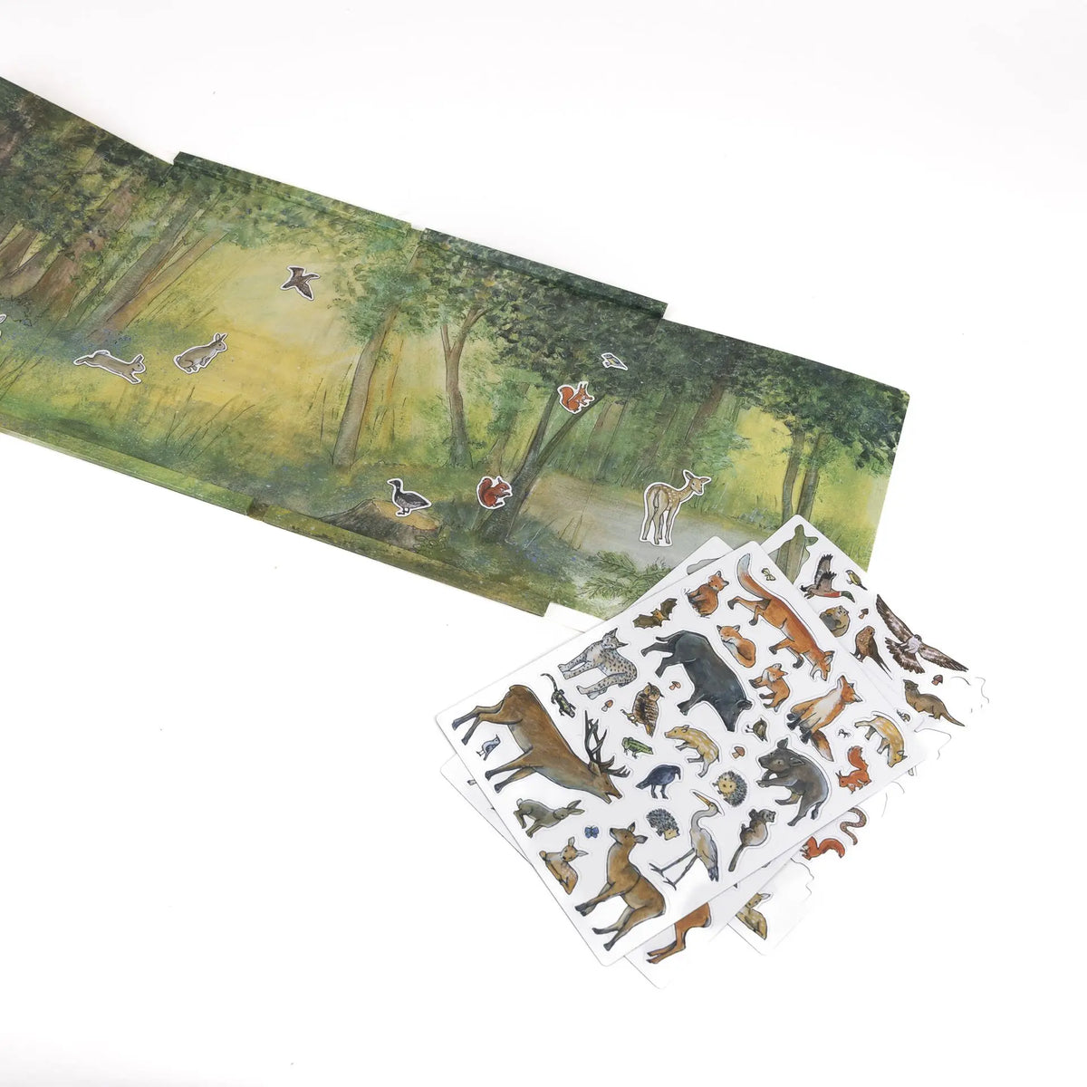 Forest Magnetic Game