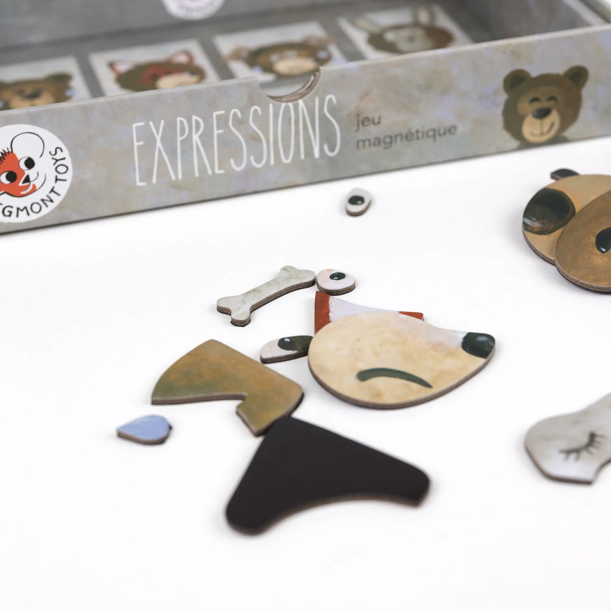 Expressions Magnetic Game