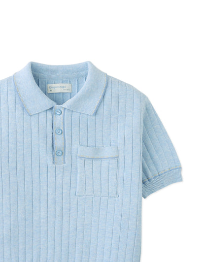 Reiner Polo Shirt with Striped Tipping Accents