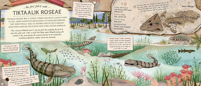 The Fossil Keeper's Treasure: With Amazing Fossils to Touch