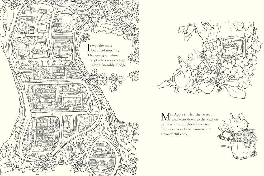 Brambly Hedge: Nature Colouring Book: Enter the cosy world of Brambly Hedge with this perfect colouring book for relaxation for all ages