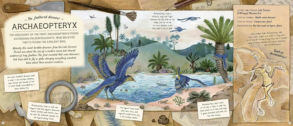 The Fossil Keeper's Treasure: With Amazing Fossils to Touch