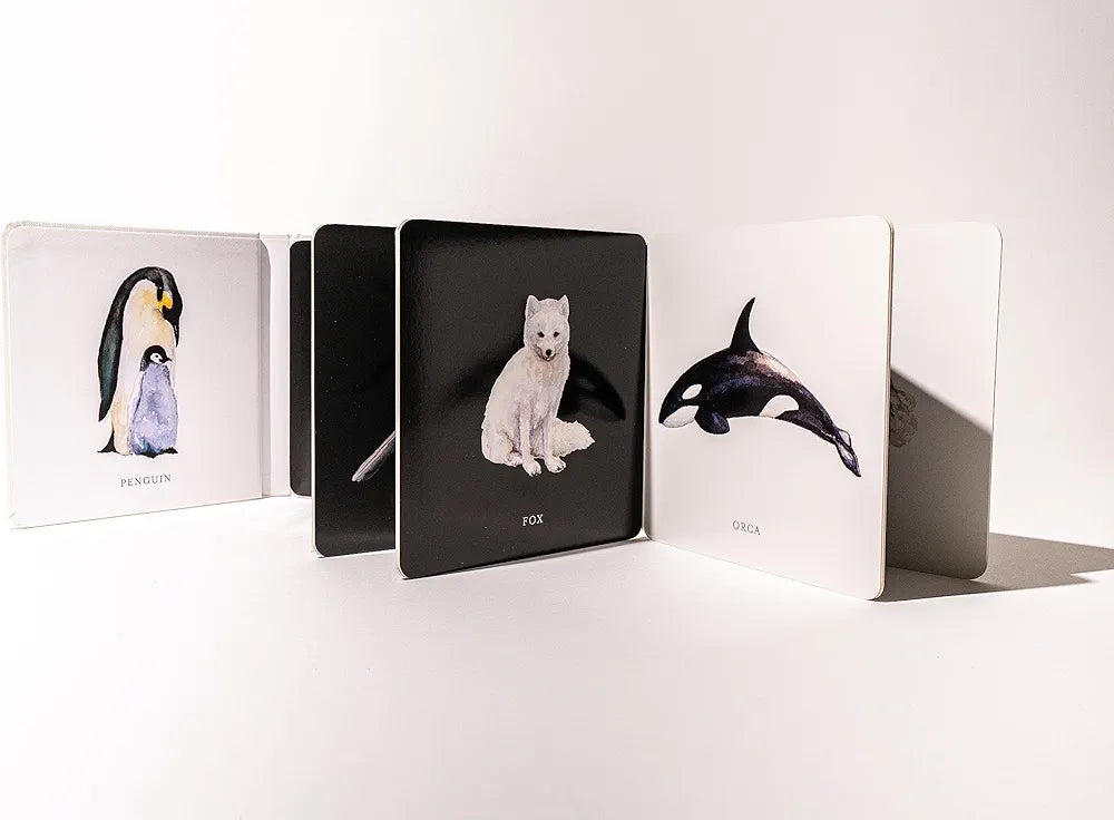 Baby's Black and White Contrast Book: High-Contrast Art for Visual Stimulation at Tummy Time 