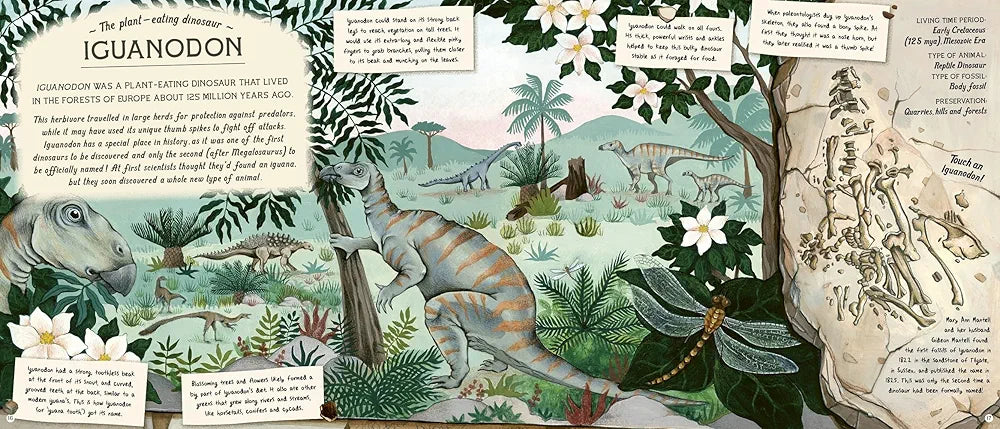 The Fossil Keeper's Treasure: With Amazing Fossils to Touch