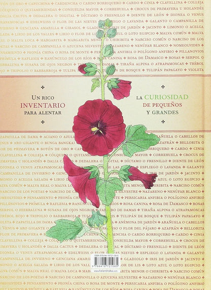 Inventario ilustrado de flores 