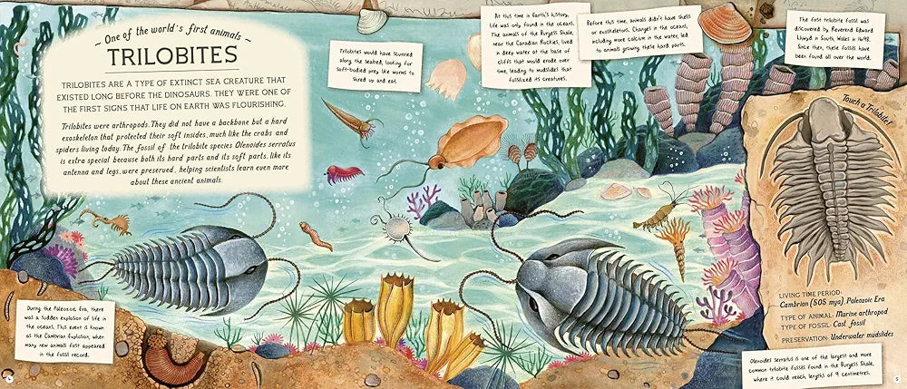 The Fossil Keeper's Treasure: With Amazing Fossils to Touch