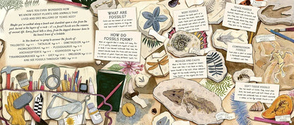 The Fossil Keeper's Treasure: With Amazing Fossils to Touch
