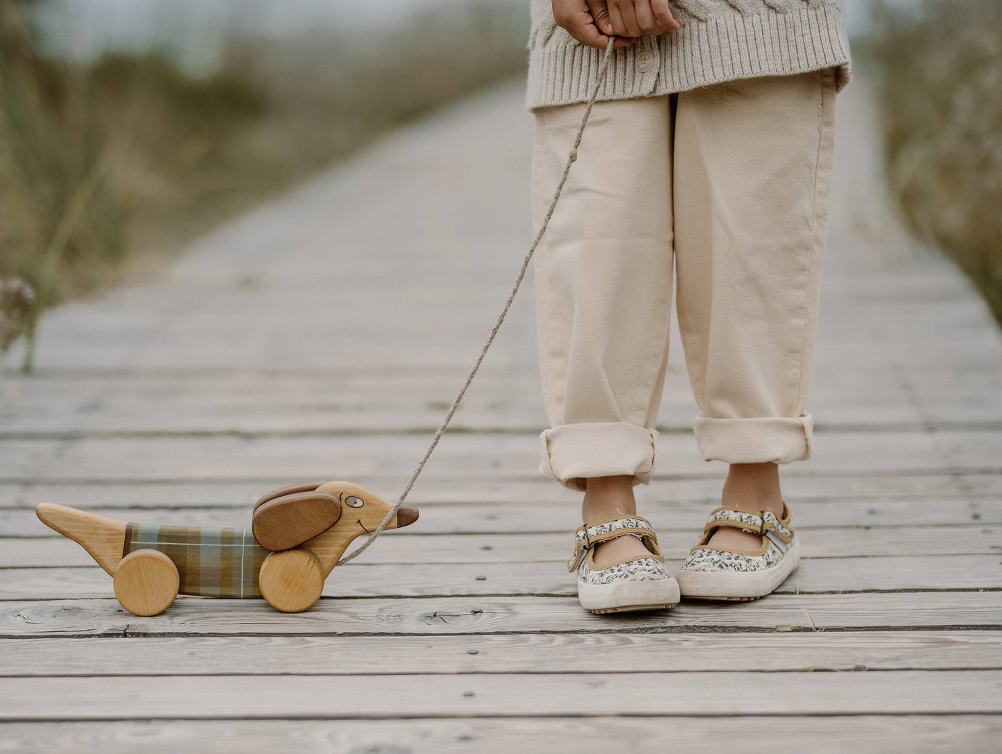 Handcrafted Birch Wood Green Sausage Dog Pull Toy