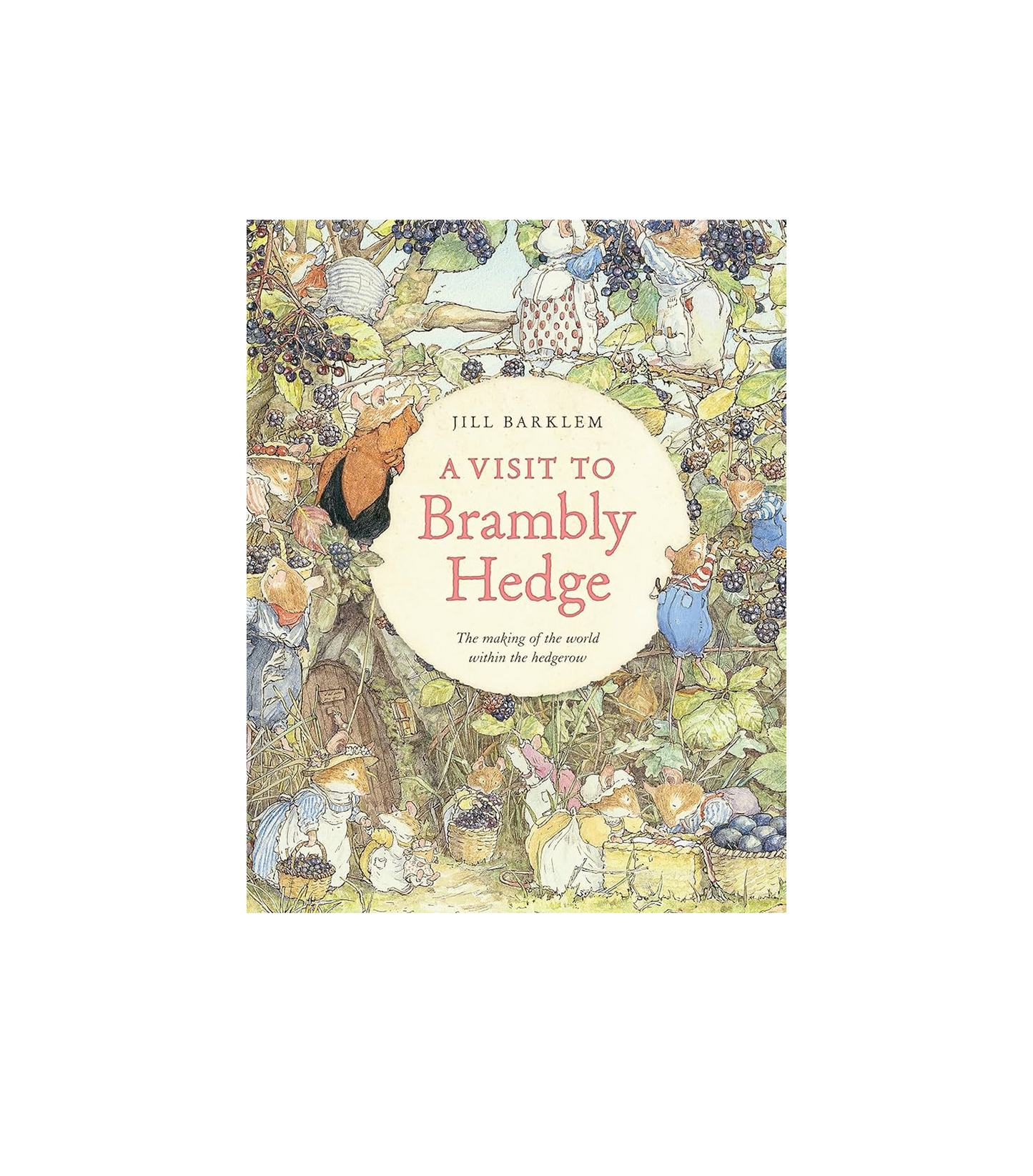 A Visit to Brambly Hedge: An illustrated companion to the world of Brambly Hedge, perfect for collectors and fans of Jill Barklem